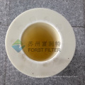 FORST High Efficiency Industrial Factory Filter Cartridge PIB210072 for Dust Collection